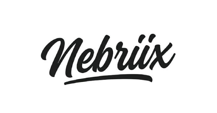 Nebriix | AI Agency — Automation, Content & Lead Generation